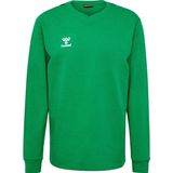 Hummel - hmlAUTHENTIC CO TRAINING - Sweatshirt