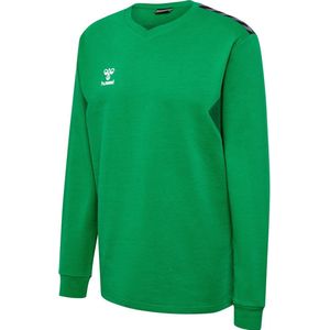 Hummel - hmlAUTHENTIC CO TRAINING - Sweatshirt