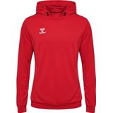 Hummel - Authentic Pl Hoodie - Polyester - Kids