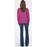 Only Trui Onlrica Life V neck Pullo Knt N 15224360 Raspberry Rose/melange Dames