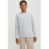 Sweatshirt 'JJEBradley'