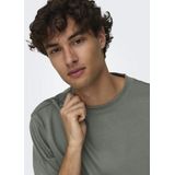 Only Sons T-shirt Onsmillenium Ovz Ss Tee Noos 22027787 Silver Lining Mannen