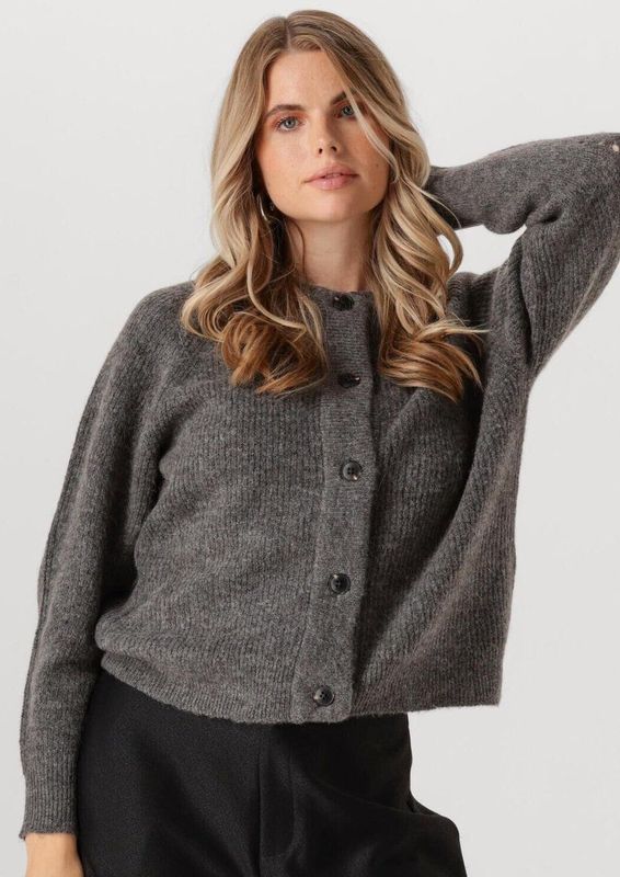 Selected Lulu Short Cardigan Beige Vrouw