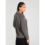 Selected Lulu Trui Beige Vrouw