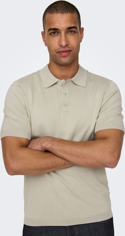Only & Sons - ONSWYLER LIFE REG 14 SS - Poloshirt - Silver Lining
