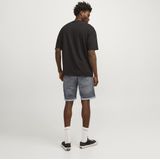 Jack&jones Jjirick Jjicon Shorts Ge 370 I.k Ss24 Sn Heren Broek