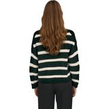 JDY Justy Stripe Knitted Trui Dames