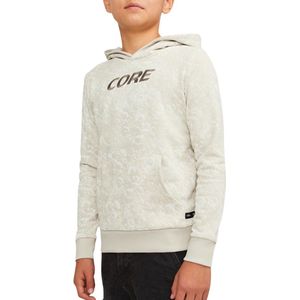 Jack & Jones Luner Hoodie Junior
