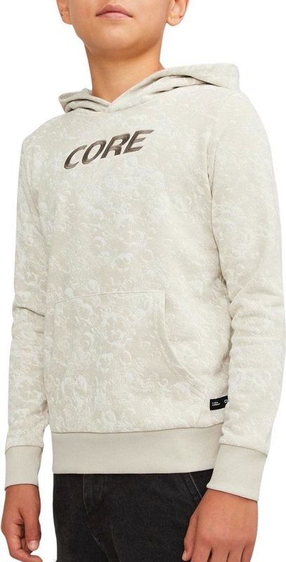 Jack & Jones Luner Hoodie Junior