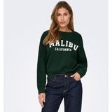 Under Armour Rival Fleece Hoodie Heren - Maat S