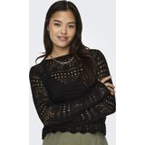Jacqueline de Yong - Trui - Zwart - 100% Acryl