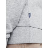 Jack & Jones Junior Sweatshirt »JJEBRADLEY SWEAT CREW NOOS JNR«