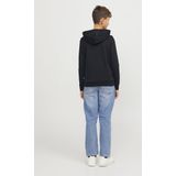JACK & JONES JUNIOR - JJEBRADLEY - Hoodie - Groen - Katoen