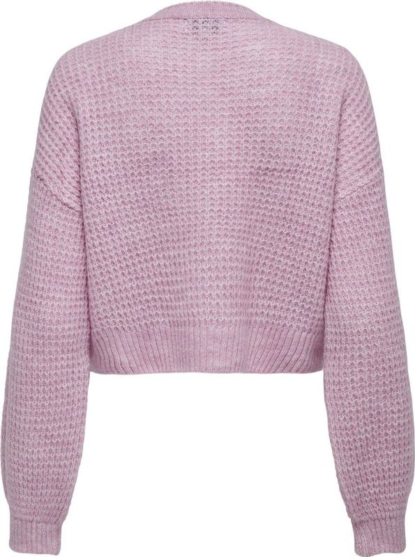 Onlmikani - Gebreide Pullover - O-hals - Lange Mouwen - Cropped