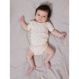 NAME IT - NBFBODY 2P - Body - Buttercream - Korte Mouwen - 2-pack