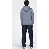 Only & Sons Ceres Life Hoodie Heren