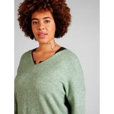 Only Carmakoma Carmargareta Ls Pullover Knt Noos Dames Trui