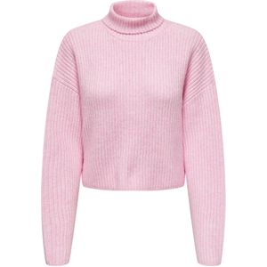 Gebreide Trui - Col Roulé - Lange Mouwen - Regular Fit