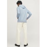 Jack & Jones Kapuzensweatshirt JPRBLUARCHIE SWEAT HOOD NOOS