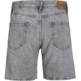 Jack & Jones Chris Cooper Sbd 020 Korte Jeans Grijs Man