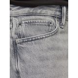 Jack & Jones Chris Cooper Sbd 020 Korte Jeans Grijs Man