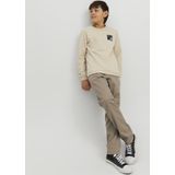 Jack & Jones Jpstmarco Jjdave Am Noos Mni Jongens Broek