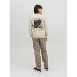 Jack & Jones Jpstmarco Jjdave Am Noos Mni Jongens Broek