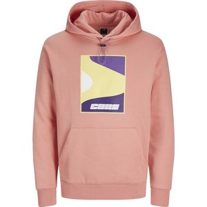 Jack & Jones Trui Jcofast Print Sweat Hood Smu 12257930 Burnt Coral Mannen