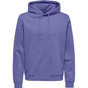 Only & Sons - Onsconnor Reg Sweat Hoodie Noos - Heren - Sweaters