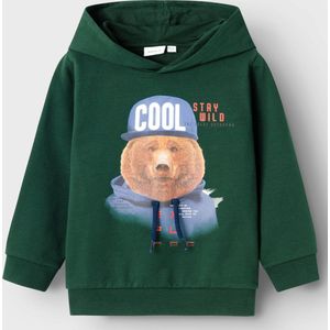 NAME IT Boy Hoodie Regular Fit, Pine Grove, 104
