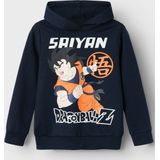 Sweashirt 'Dragonball'