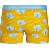 Jack & Jones - 12P Boxers - Hawaii - Multi