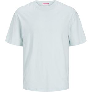 Jack Jones Aruba Summerblank Tee SS Crew Neck Skylight GROEN