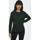 Only Onlrica Life Pullover Knt Noos Dames Trui