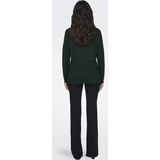 Only Onlrica Life Pullover Knt Noos Dames Trui