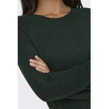 Only Onlrica Life Pullover Knt Noos Dames Trui