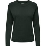 Only Onlrica Life Pullover Knt Noos Dames Trui