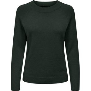 Only Onlrica Life Pullover Knt Noos Dames Trui