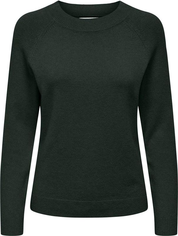 Only Onlrica Life Pullover Knt Noos Dames Trui