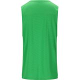 ENDURANCE Functioneel shirt 'Hanieber'  groen