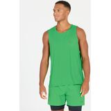 ENDURANCE Functioneel shirt 'Hanieber'  groen