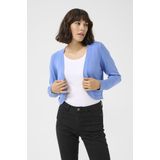 Vesten - Regular Fit - Lange Mouwen - 80% Viscose - 20% Nylon