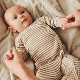 Wheat - Everest - Boxpak - 100% Katoen - Lange Mouwen