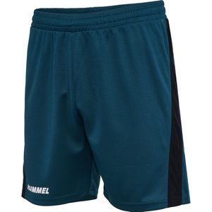Hummel - hmlMULTI PL SHORTS - Sportbroek