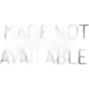 Hummel - University Bee - T-shirt - Wit - Korte Mouwen