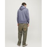 Jack & Jones - Frederiksberg Box Hoodie - Groen - 70% Katoen, 30% Polyester