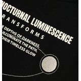 Name it - Nkmnapalle Ss Nreg Top - Jongens - t-Shirts