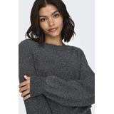 Trui - Mélange - Knitwear - Lange Mouw - Opstaande Kraag - Normale Pasvorm