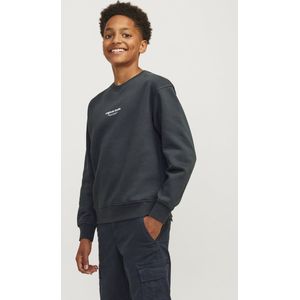 Jack & Jones Junior Trui Jorvesterbro Sweat Crew Neck Noos J 12242471 Forest River Mannen 2