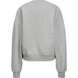 JJXX Trui Jxmerle Rlx Short Ls Crew Swt Ln 12260608 Light Crey Melange Dames